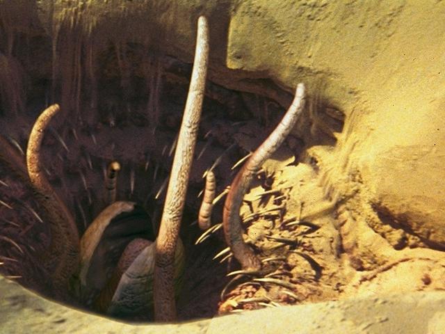 что делать с торианином. Смотреть фото что делать с торианином. Смотреть картинку что делать с торианином. Картинка про что делать с торианином. Фото что делать с торианином