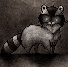 Raccoon